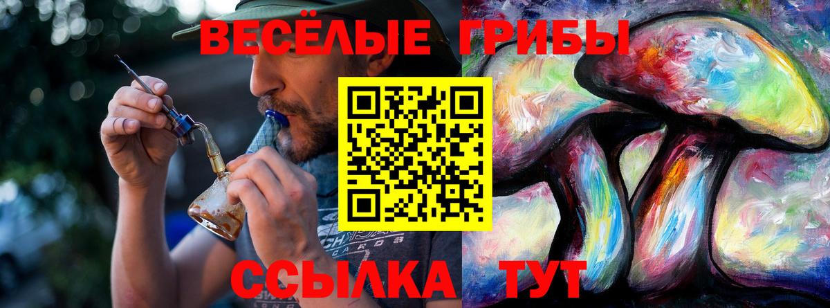 Псилоцибиновые грибы Cubensis Волхов