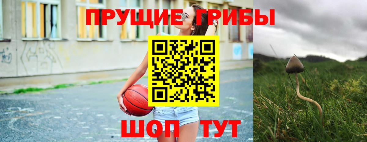 Псилоцибиновые грибы Psilocybine cubensis  Вход с VPN  Волхов 
